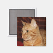 Orange Tabby Cat Face Profil Magnet (Vorderseite/Rückseite)