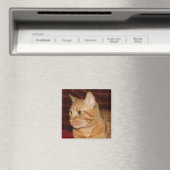 Orange Tabby Cat Face Profil Magnet (In Situ (Geschirrspüler))