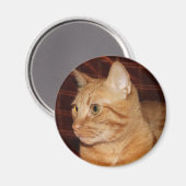 Orange Tabby Cat Face Profil Magnet (Vorderseite/Rückseite)