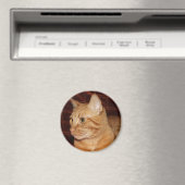 Orange Tabby Cat Face Profil Magnet (In Situ (Geschirrspüler))
