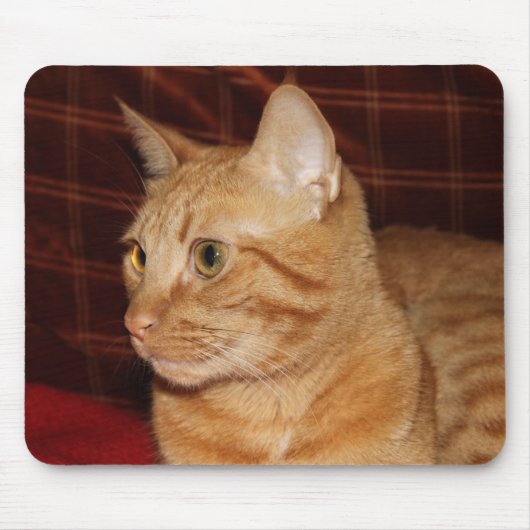 Orange Tabby Cat Face Profil Mousepad (Vorne)