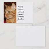 Orange Tabby Cat Face Profil Visitenkarte (Vorne/Hinten)