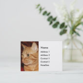 Orange Tabby Cat Face Profil Visitenkarte (Stehend Vorderseite)
