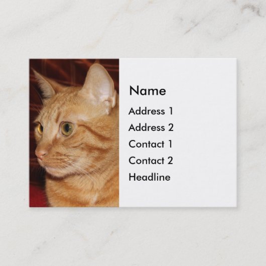 Orange Tabby Cat Face Profil Visitenkarte (Vorderseite)