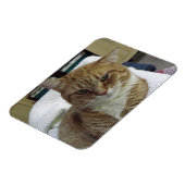 Orange Tabby Cat Flexible Magnet (Linke Seite)