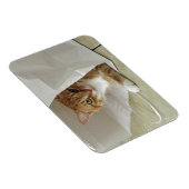 Orange Tabby Cat Flexible Magnet (Rechte Seite)