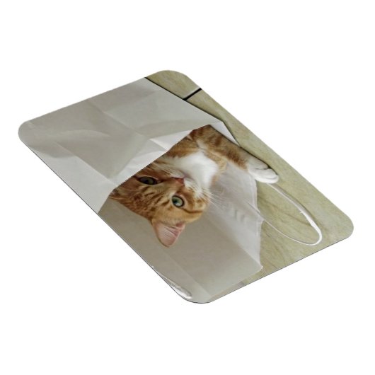 Orange Tabby Cat Flexible Magnet (Rechte Seite)