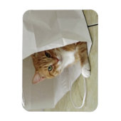 Orange Tabby Cat Flexible Magnet (Vertikal)