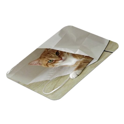 Orange Tabby Cat Flexible Magnet (Linke Seite)