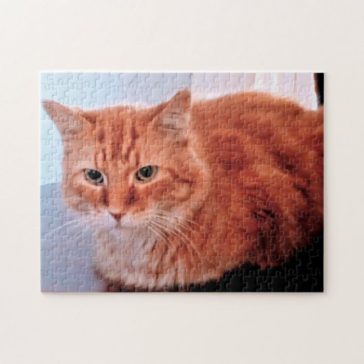 Orange Tabby Cat Foto Family Pet Puzzle (Horizontal)