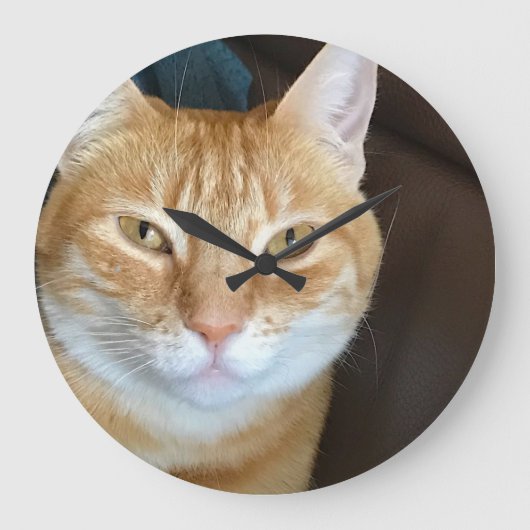 Orange tabby cat große wanduhr (Vorderseite)