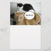 Orange Tabby Cat Ich bin leider Briefpapier (Vorderseite)