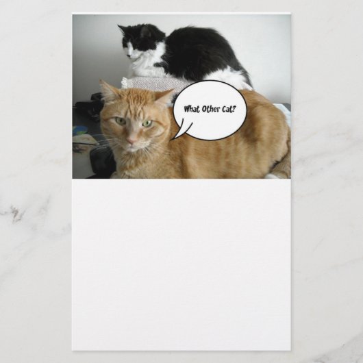 Orange Tabby Cat Ich bin leider Briefpapier (Vorderseite)