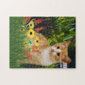 Orange Tabby Cat im Blumengarten Tierfreunde Puzzle (Horizontal)