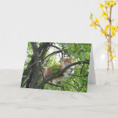 Orange Tabby Cat in Tree Karte (Gelbe Blume)
