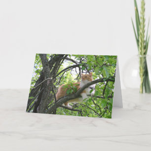 Orange Tabby Cat in Tree Karte