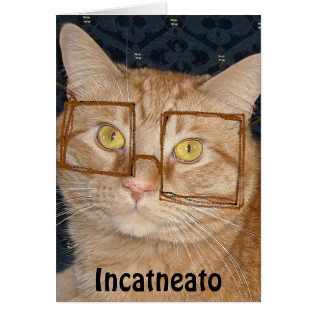 Orange Tabby Cat/Inkognito (Vorne)