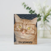 Orange Tabby Cat/Inkognito Postkarte (Stehend Vorderseite)