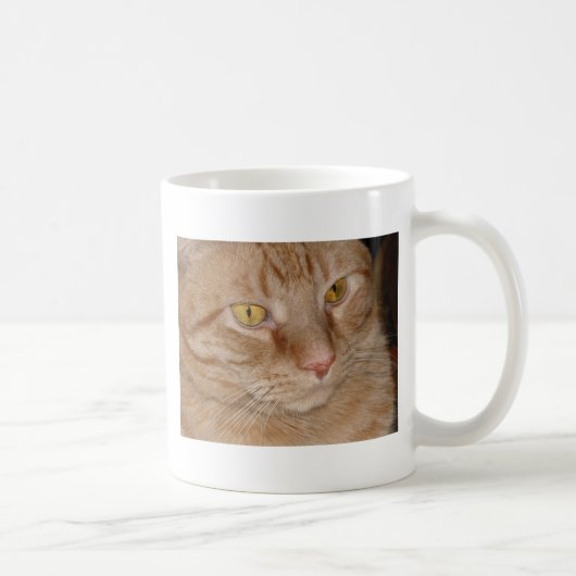 Orange Tabby Cat Kaffeetasse (Rechts)