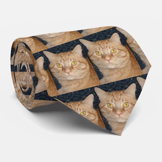 Orange Tabby Cat Krawatte (Gerollt)