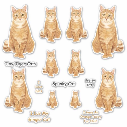 Orange Tabby Cat Lg Sticker Set (Vorderseite)
