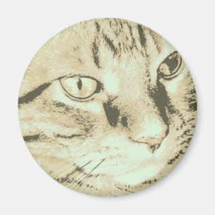 Orange Tabby Cat Magnet