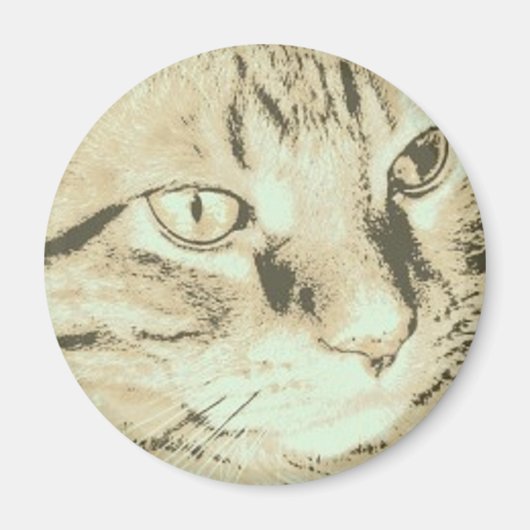 Orange Tabby Cat Magnet (Vorne)