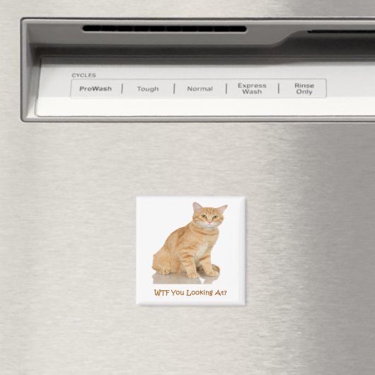 Orange Tabby Cat Magnet (In Situ (Geschirrspüler))