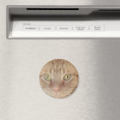 Orange Tabby Cat Magnet (In Situ (Geschirrspüler))