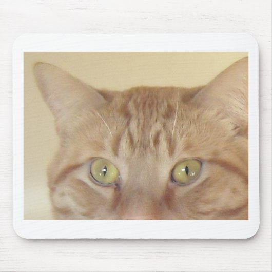 Orange Tabby Cat Mousepad (Vorne)