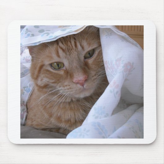 Orange Tabby Cat Mousepad (Vorne)