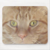 Orange Tabby Cat Mousepad (Vorne)
