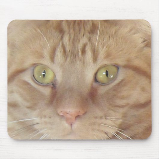 Orange Tabby Cat Mousepad (Vorne)