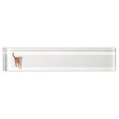 Orange Tabby Cat Namensplakette (Vorderseite)