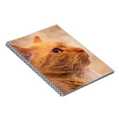 Orange Tabby Cat Notebook Curious Feline Notebook Notizblock (Rechte Seite)