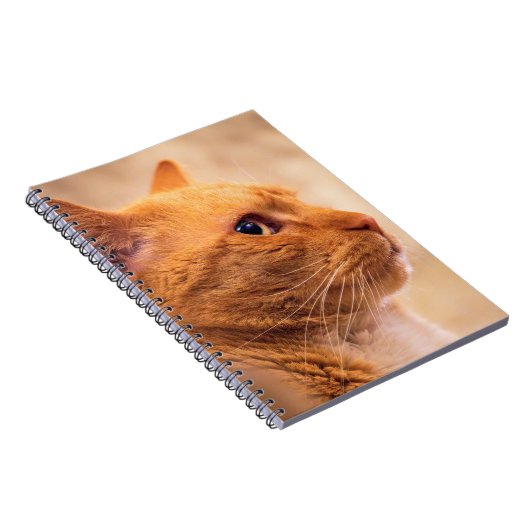 Orange Tabby Cat Notebook Curious Feline Notebook Notizblock (Rechte Seite)