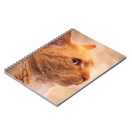 Orange Tabby Cat Notebook Curious Feline Notebook Notizblock (Linke Seite)
