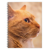 Orange Tabby Cat Notebook Curious Feline Notebook Notizblock (Vorderseite)