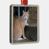 Orange Tabby Cat Ornament Aus Metall (Rechts)