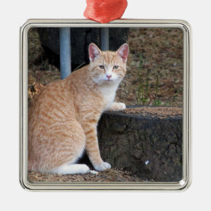 Orange Tabby Cat Ornament Aus Metall