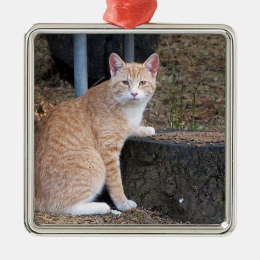Orange Tabby Cat Ornament Aus Metall (Vorne)