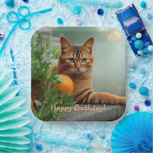 Orange Tabby Cat Pappteller (Party)