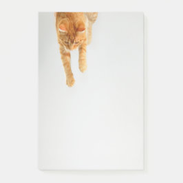 Orange Tabby Cat Post-it® Notes 4 x 6 Post-it Klebezettel