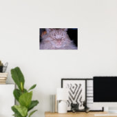 Orange Tabby Cat Poster (Heimbüro)