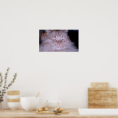 Orange Tabby Cat Poster (Küche)