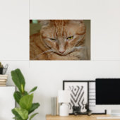 Orange Tabby Cat Poster (Heimbüro)