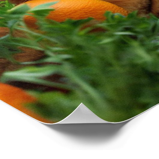 Orange Tabby Cat Poster (Ecke)