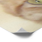 Orange Tabby Cat Poster (Ecke)