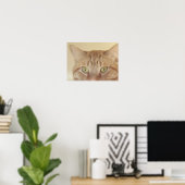Orange Tabby Cat Poster (Heimbüro)