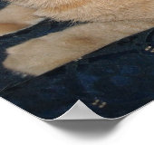 Orange Tabby Cat Poster (Ecke)